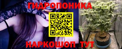 сатива Кинель