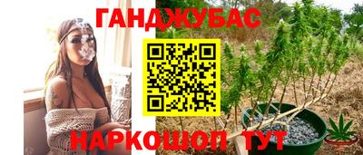 сатива Кинель