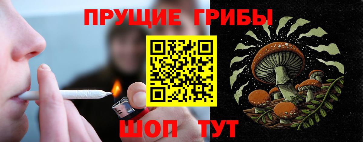 Псилоцибиновые грибы Psilocybe Зерноград